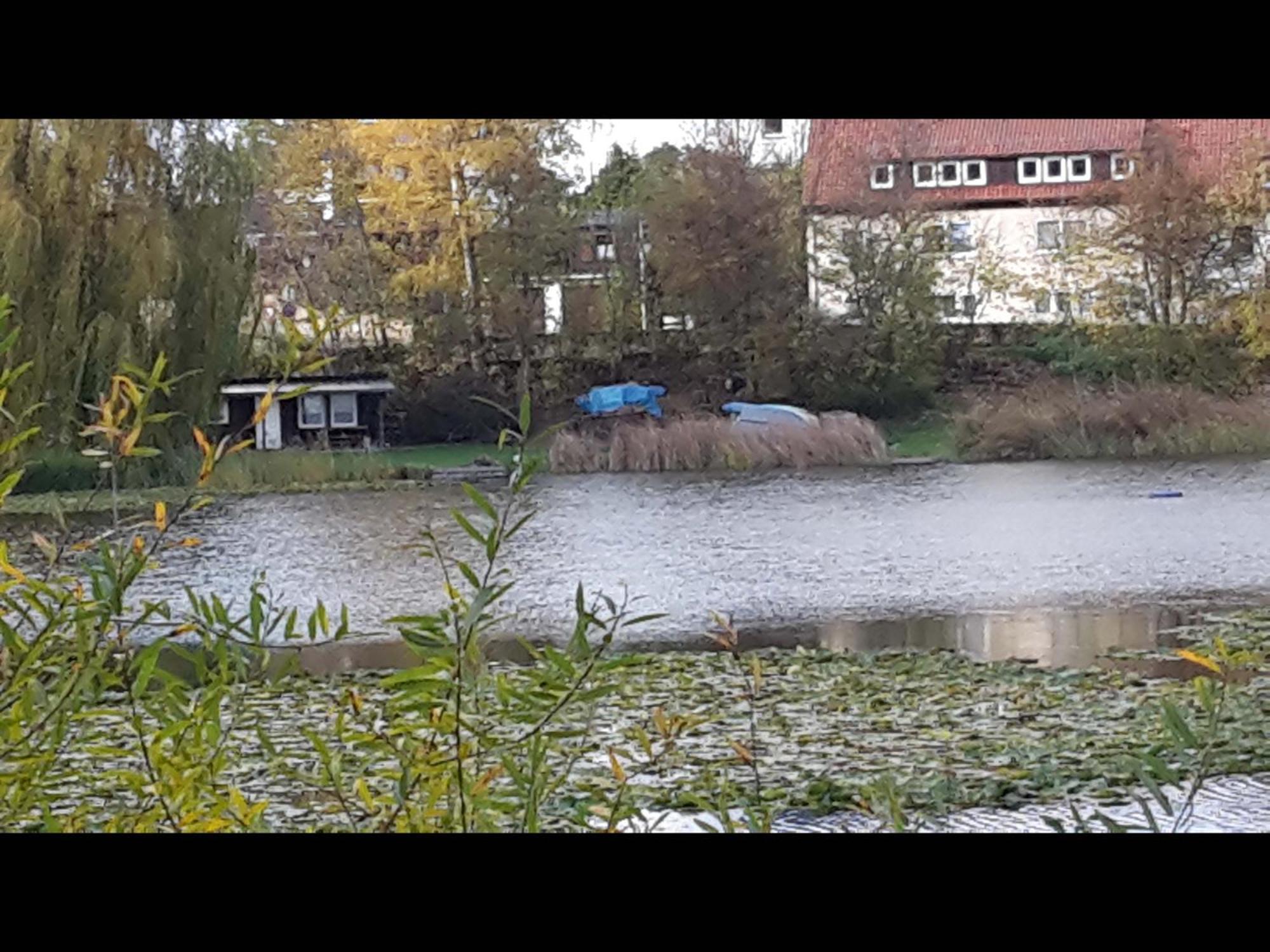 Neu! Ferienwohnung Teichblick In Bad Grund Exteriör bild